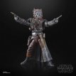 HASG0012 Pirate Captain Brutus Port Borgo Skeleton Crew Black Series Star Wars