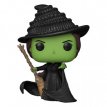 FK79747 Elphaba Wicked Funko Pop