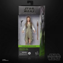 HASF4352 Princess Leia Ewok Village Black Series Star Wars