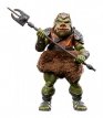 HASF6856 Gamorrean Guard Deluxe 40th Anniversary Black Series Star Wars