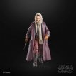 HASF9987 Jod Na Nawood Skeleton Crew Black Series Star Wars