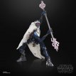HASG1315 Magnaguard 20th Anniversary Episode 3 Black Series Star Wars