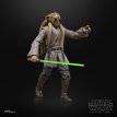 HASG1743 Kit Fisto 20th Anniversary Episode 3 Black Series Star Wars