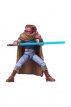 HASG2625 Devon Izara Maul Shadow Lord The Vintage Collection Star Wars