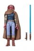 HASG2625 Devon Izara Maul Shadow Lord The Vintage Collection Star Wars